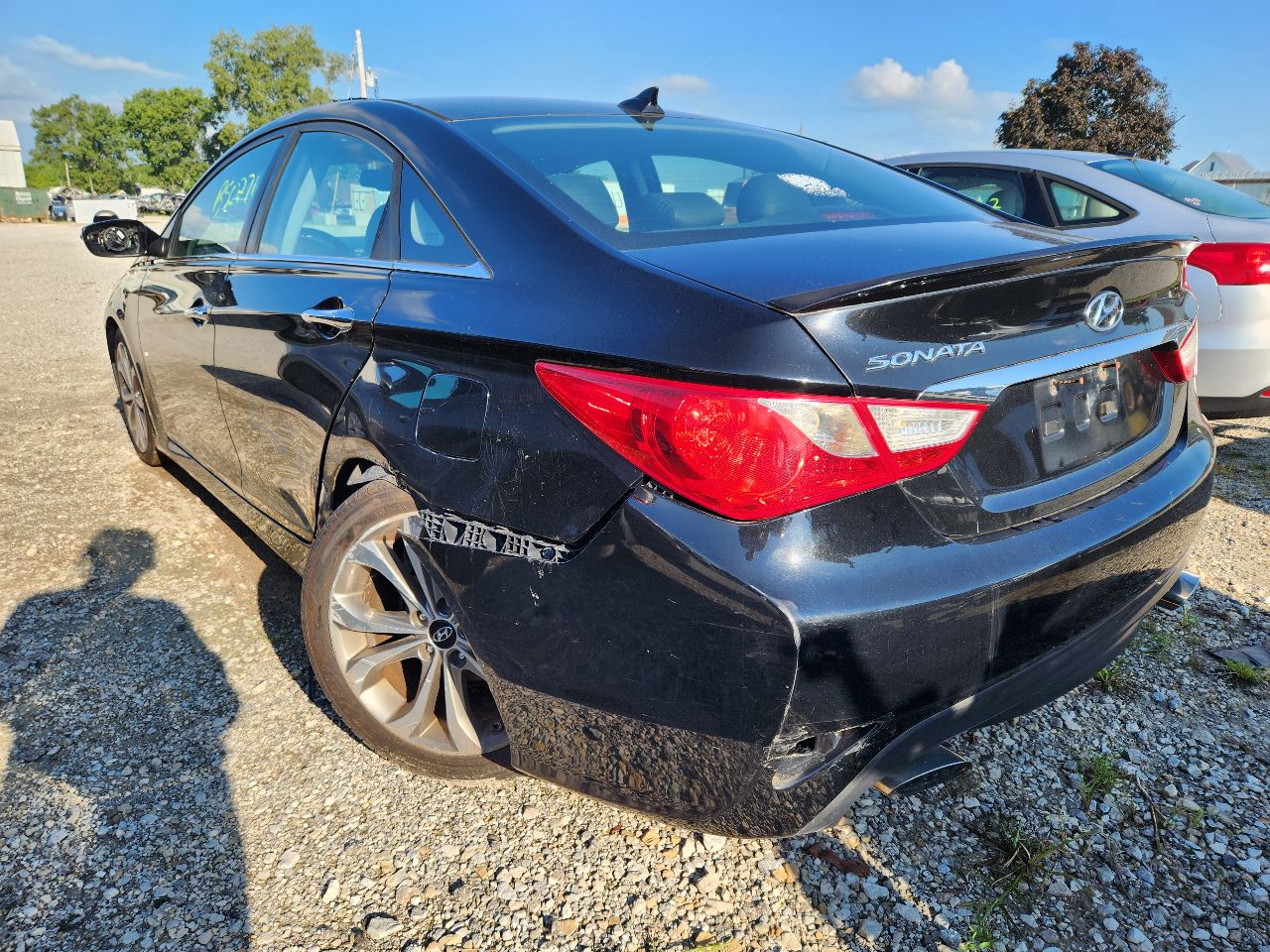 Vehicle/247746_03.jpg