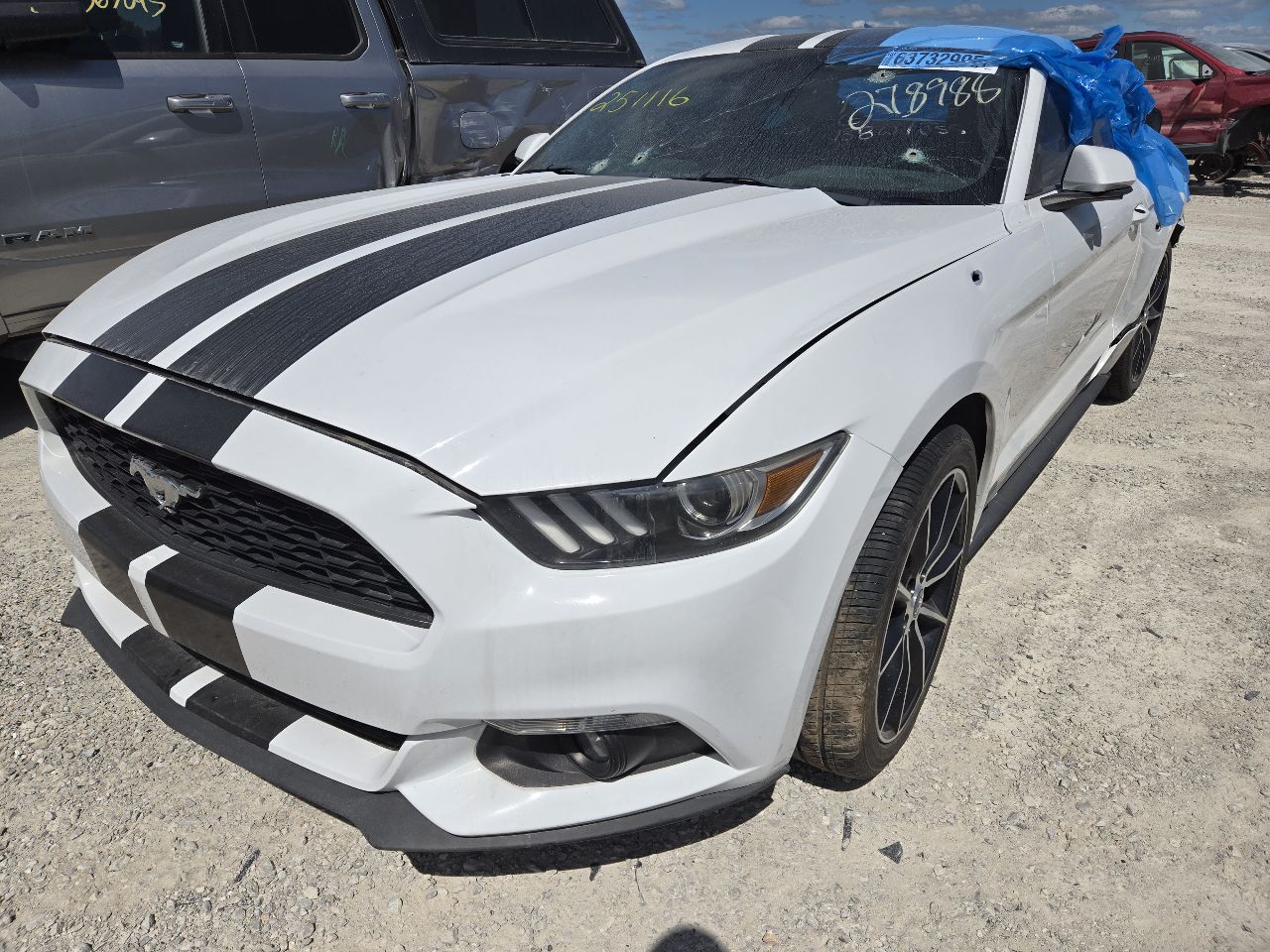 https://f005.backblazeb2.com/file/img-partshotlines-com/Inventory/EX441/Vehicle/247785_02.jpg