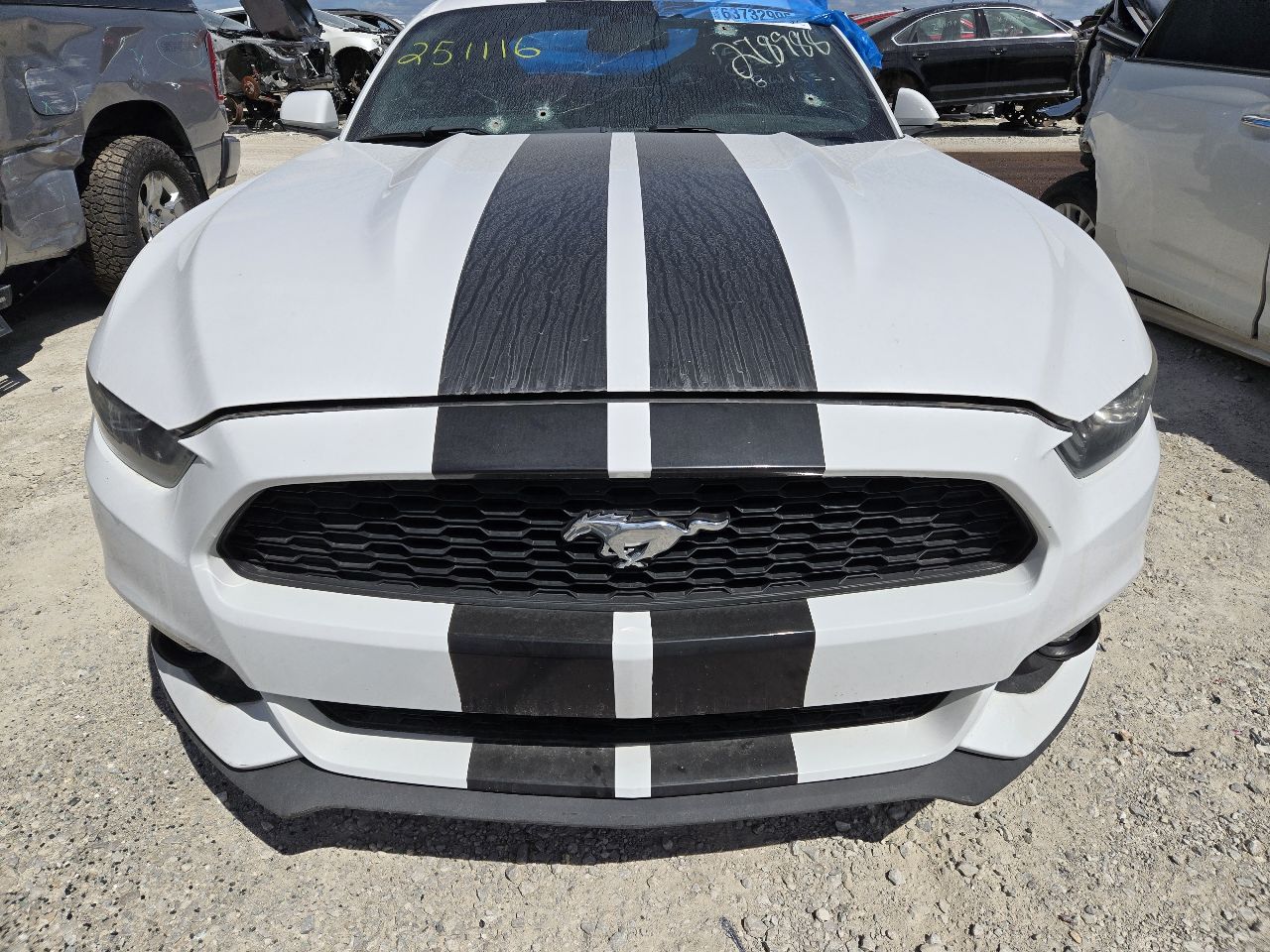 https://f005.backblazeb2.com/file/img-partshotlines-com/Inventory/EX441/Vehicle/247785_08.jpg