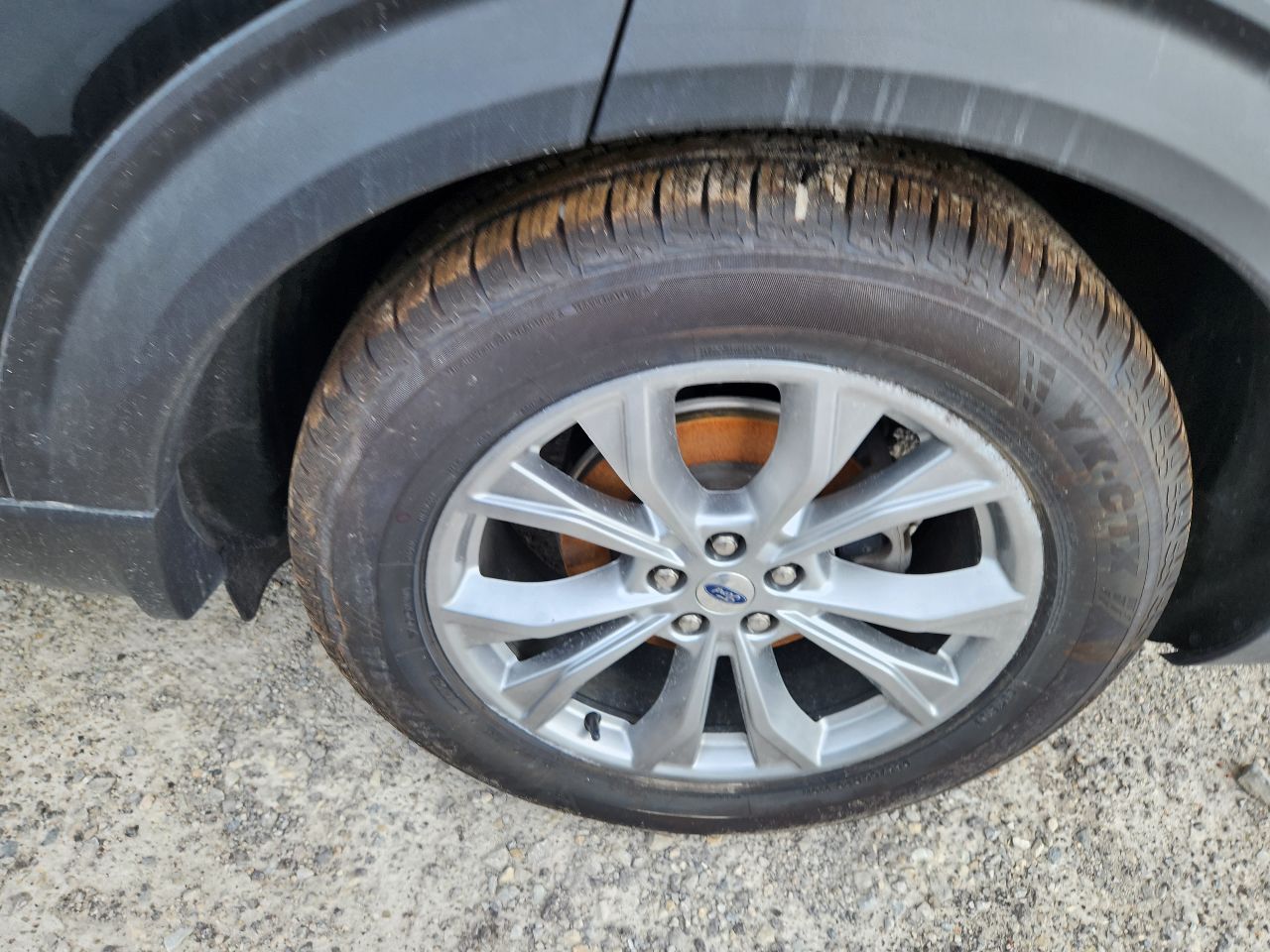 Vehicle/247907_13.jpg