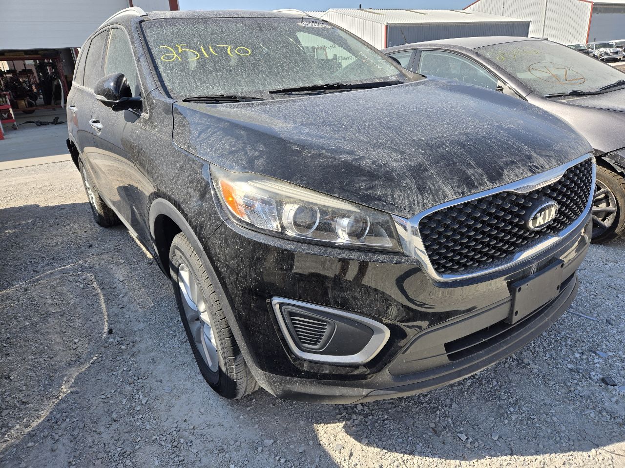 Vehicle/247913_01.jpg
