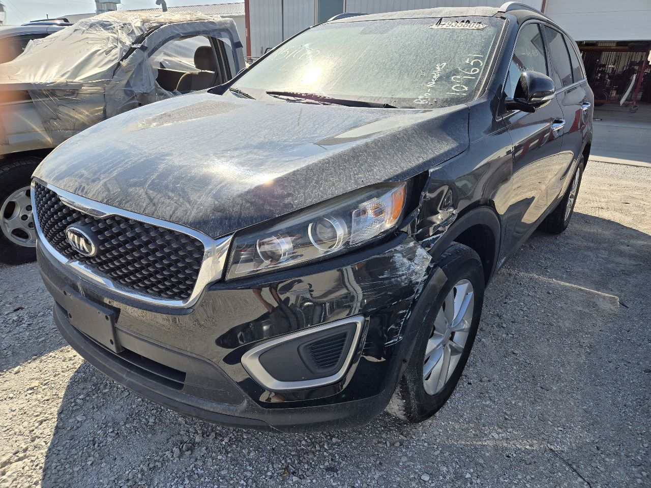 Vehicle/247913_02.jpg