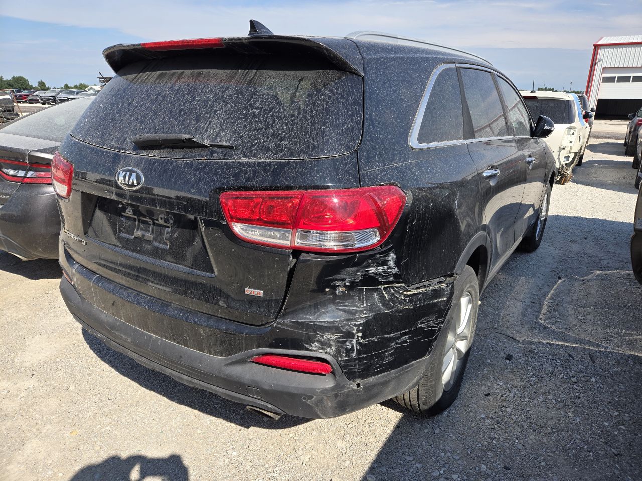 Vehicle/247913_04.jpg
