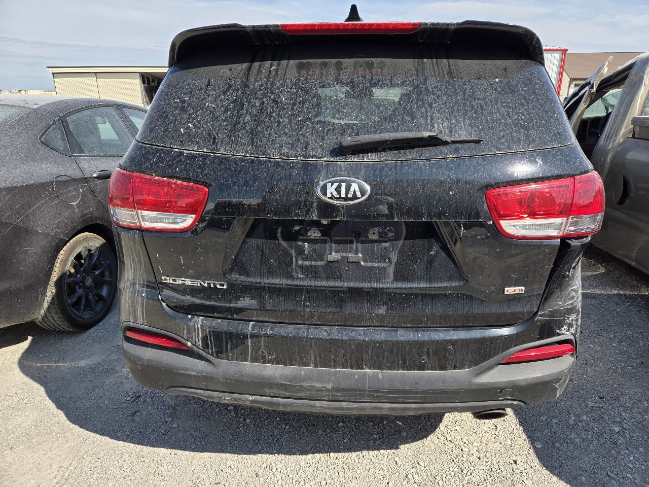 Vehicle/247913_05.jpg
