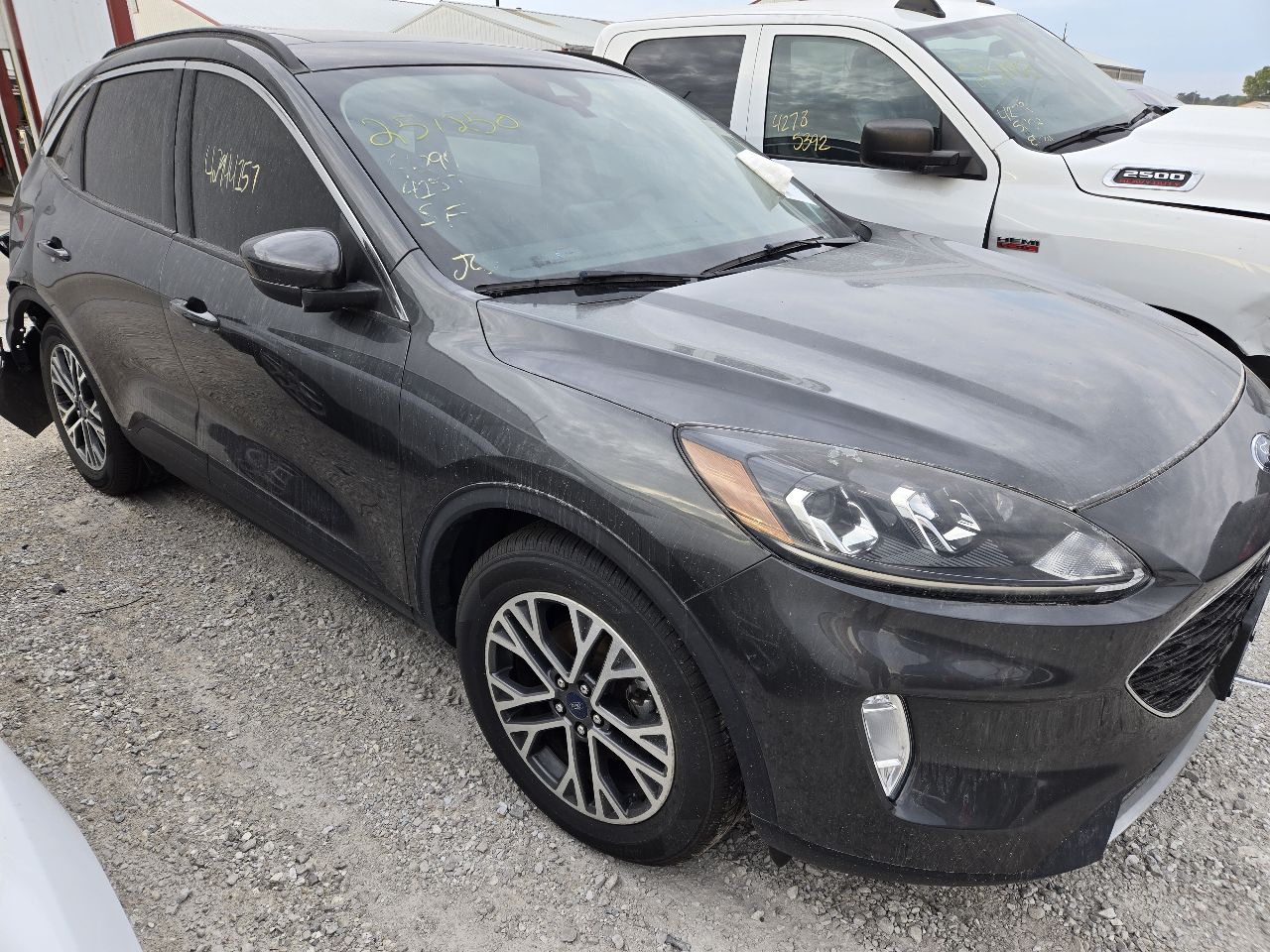 Vehicle/248081_01.jpg