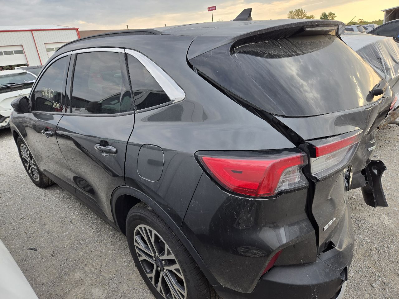 Vehicle/248081_03.jpg