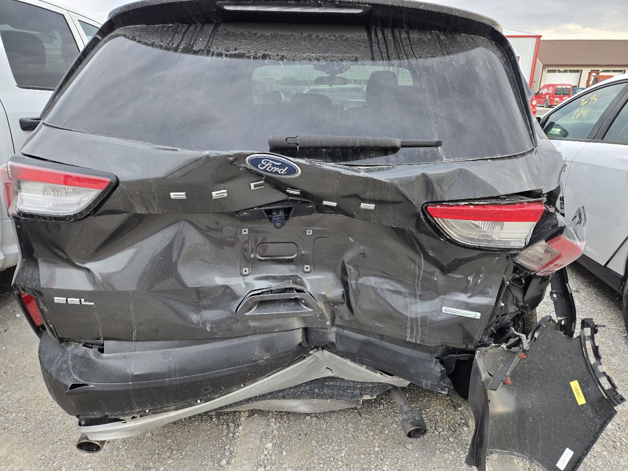 Vehicle/248081_05.jpg