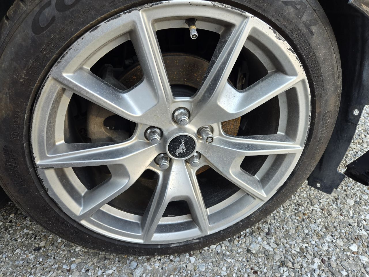 https://f005.backblazeb2.com/file/img-partshotlines-com/Inventory/EX441/Vehicle/248097_07.jpg