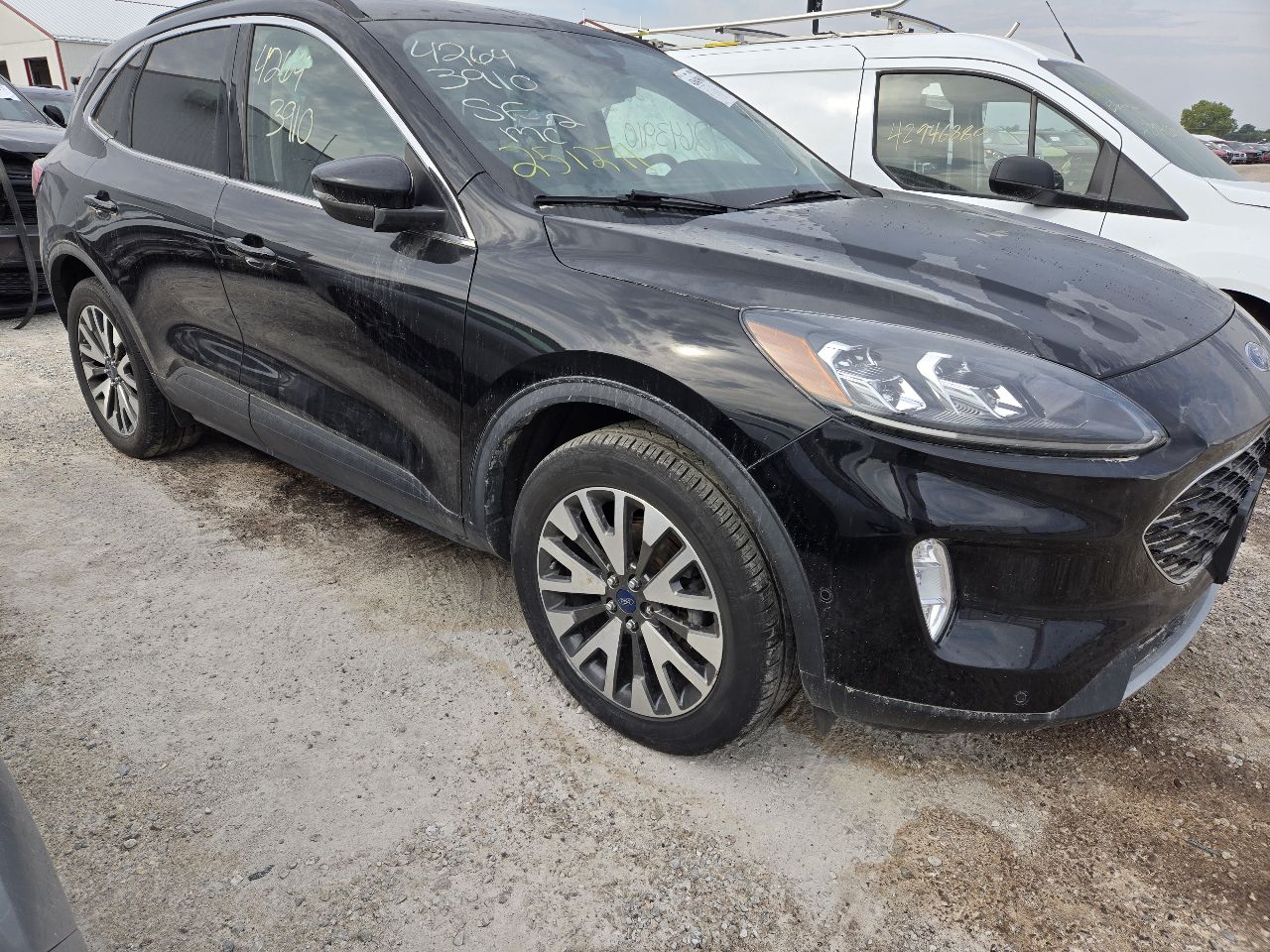 Vehicle/248113_01.jpg