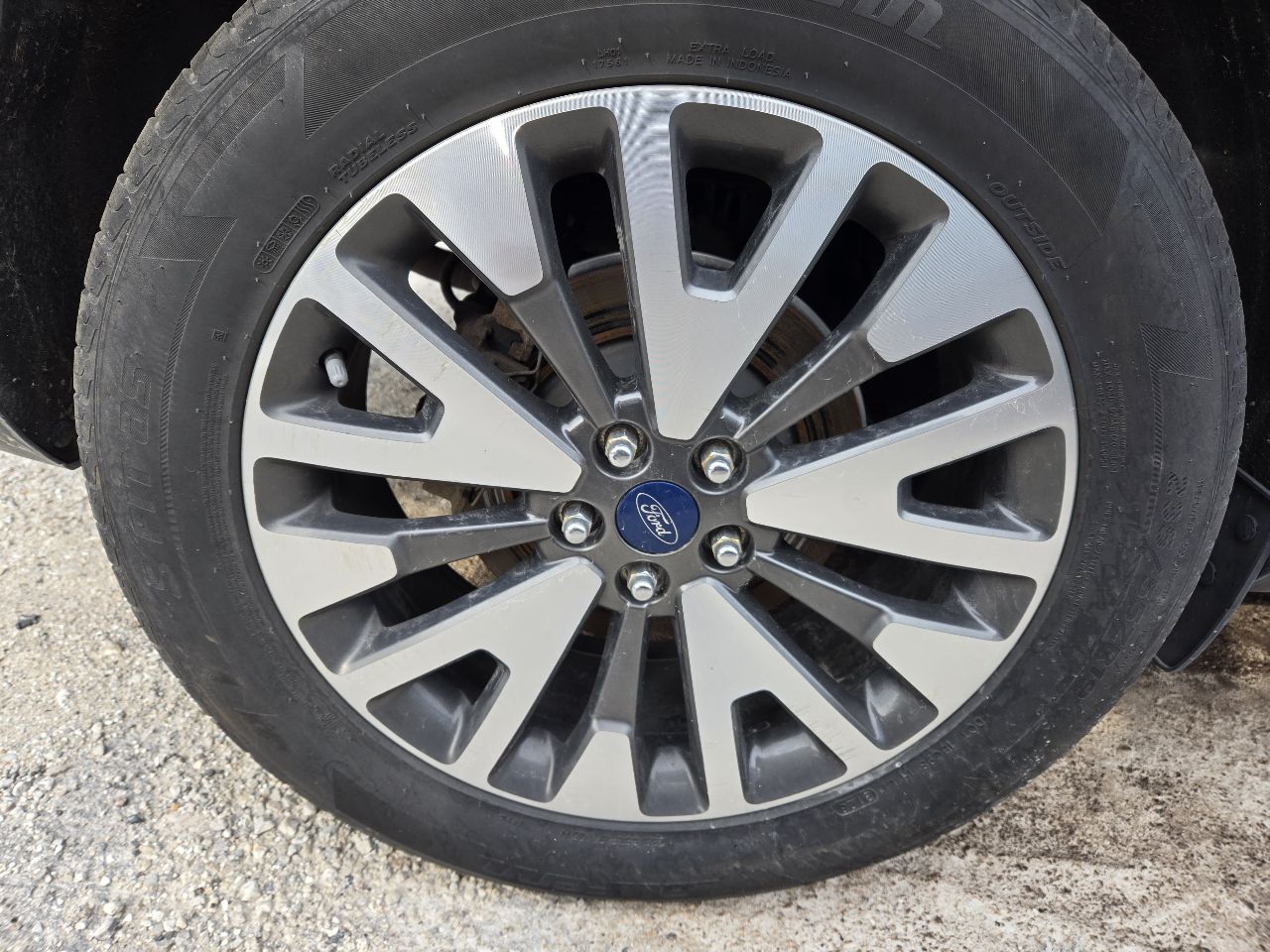 Vehicle/248113_06.jpg