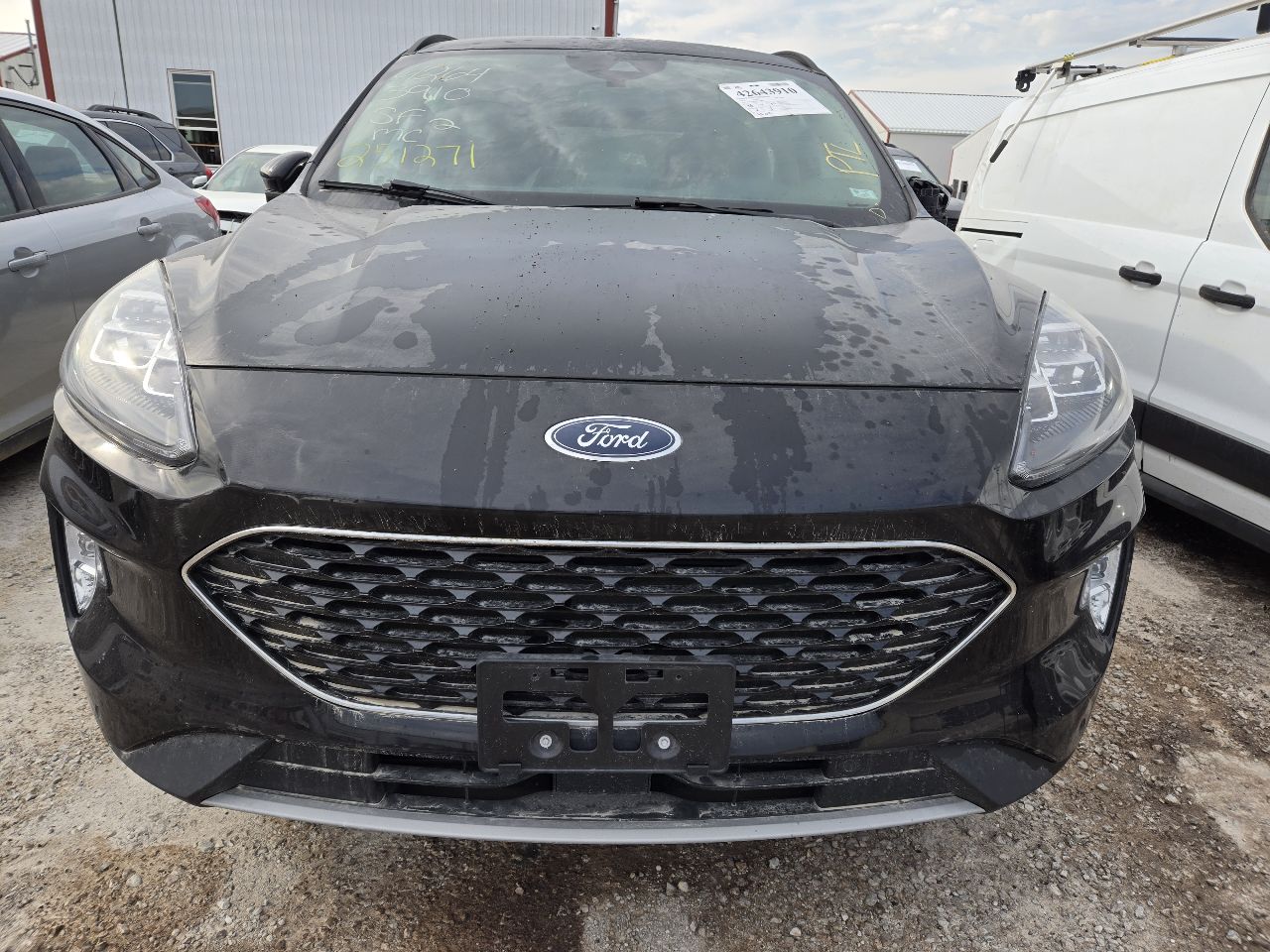 Vehicle/248113_09.jpg