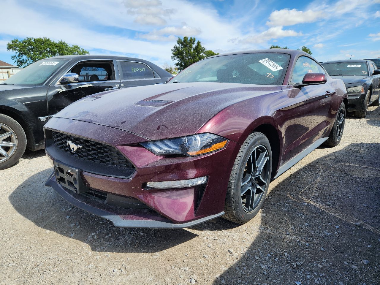 Vehicle/248151_01.jpg