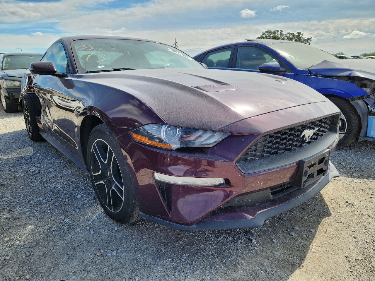 Vehicle/248151_04.jpg