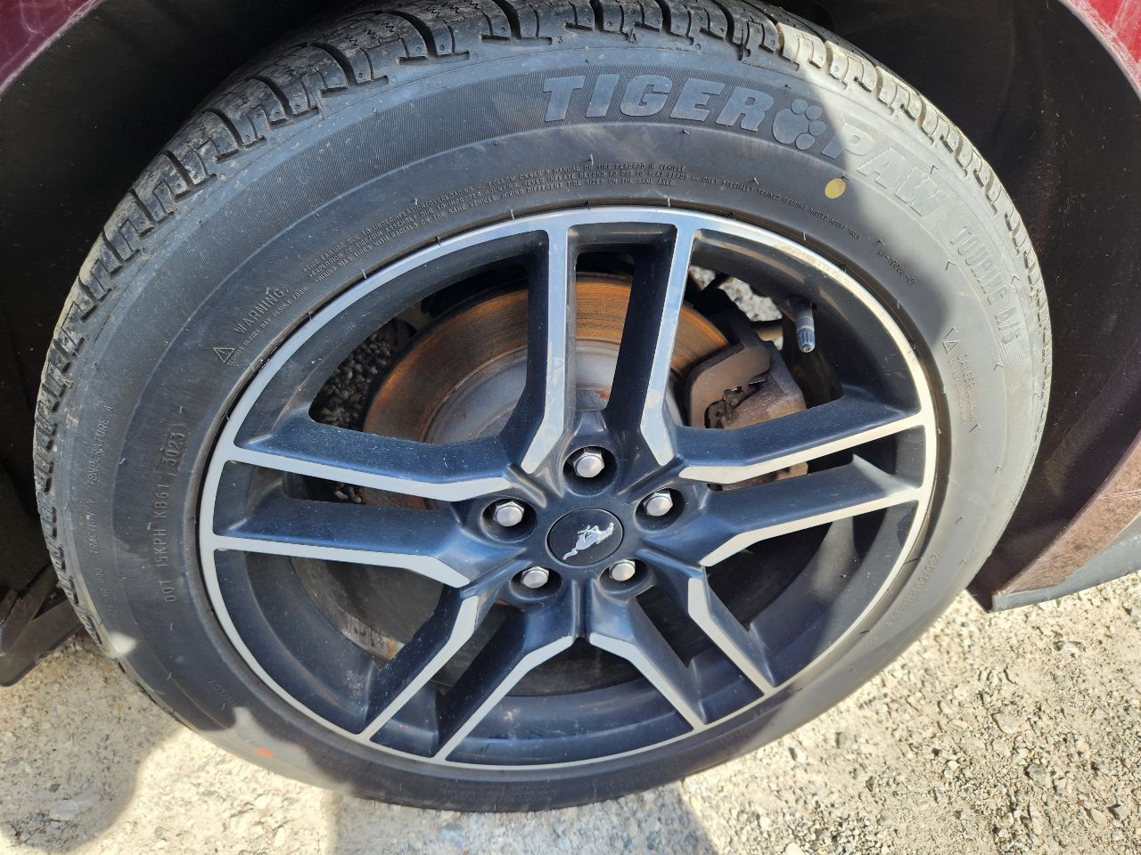 Vehicle/248151_06.jpg