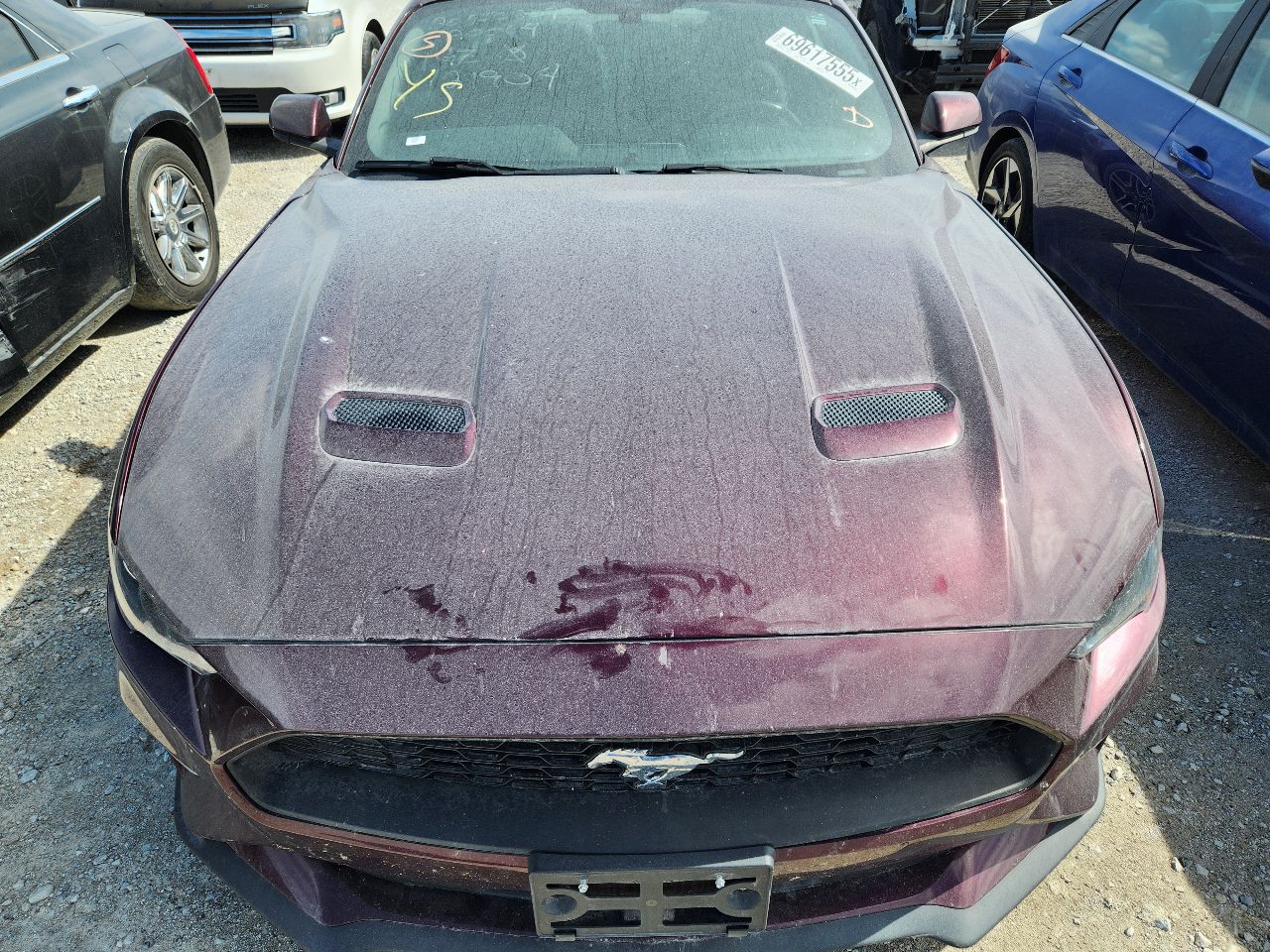 Vehicle/248151_07.jpg