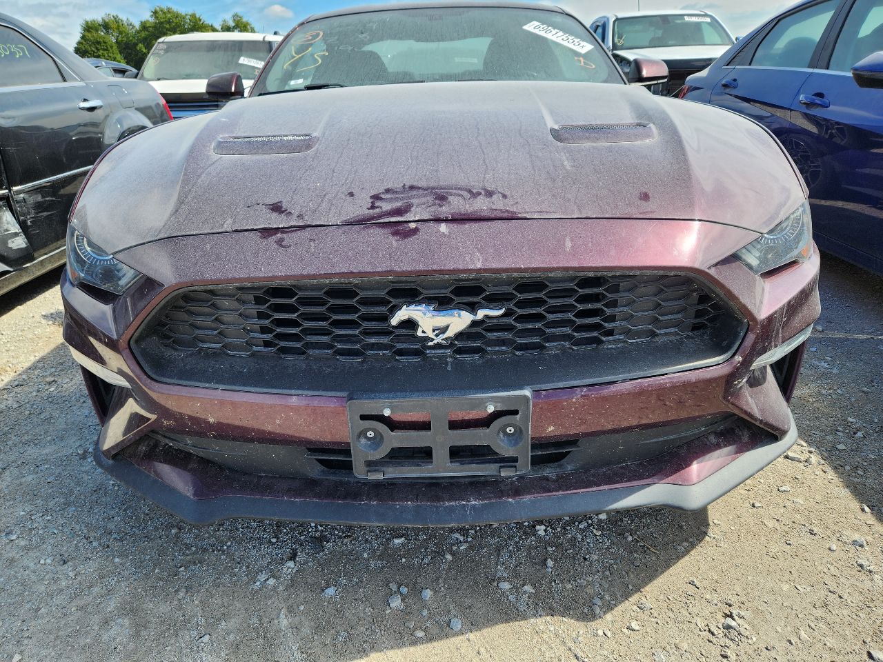 Vehicle/248151_08.jpg