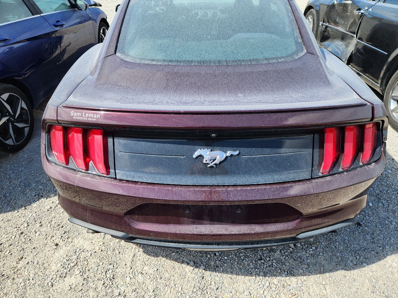 Vehicle/248151_10.jpg