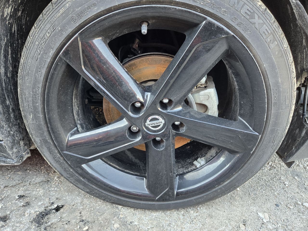 Vehicle/248181_06.jpg