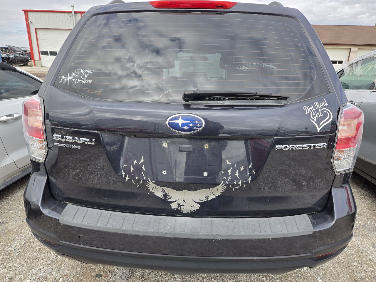 Vehicle/248358_05.jpg