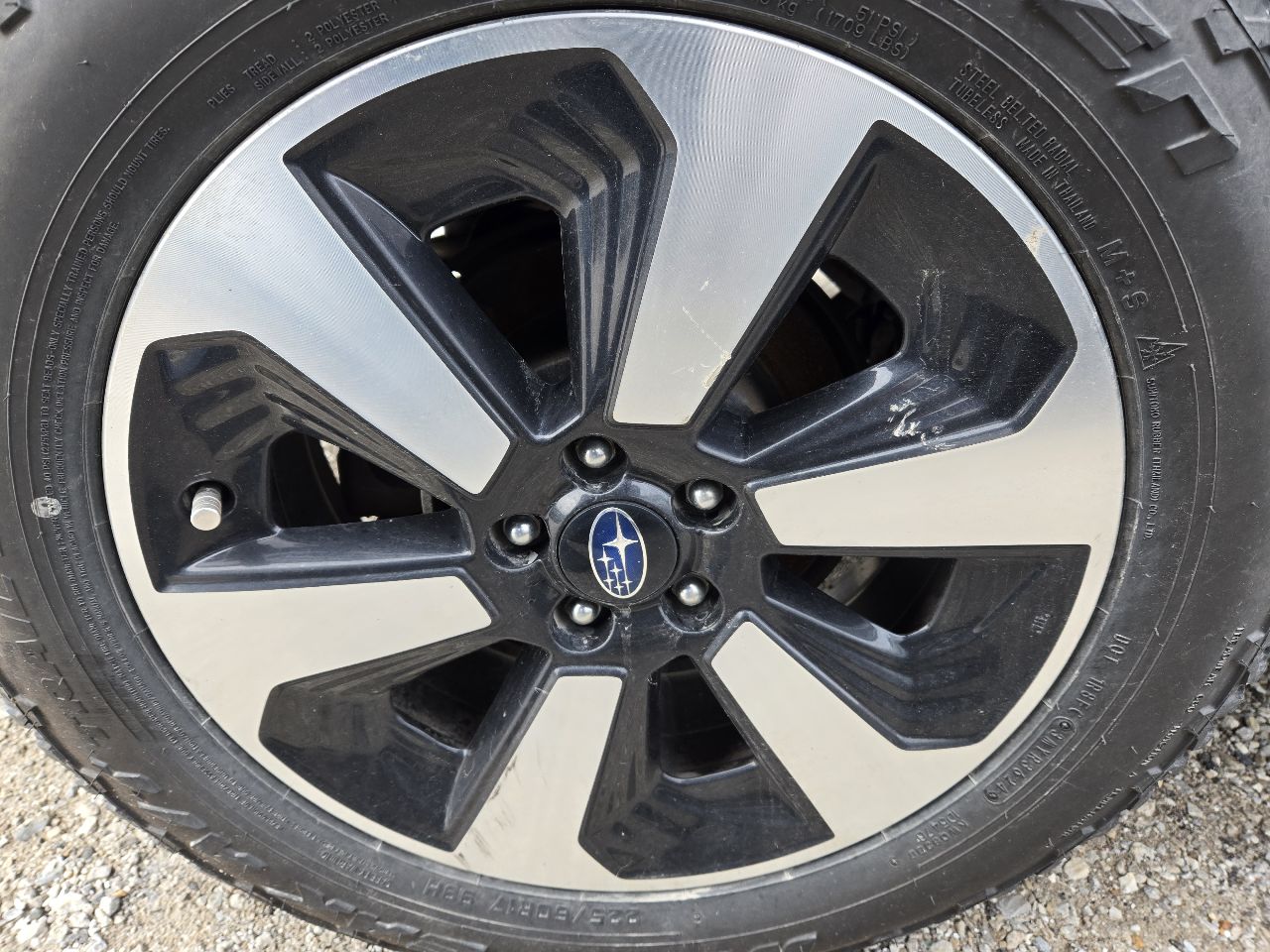 Vehicle/248358_08.jpg