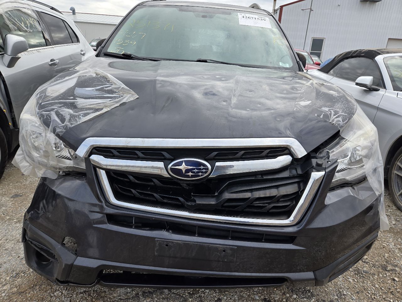 Vehicle/248358_09.jpg