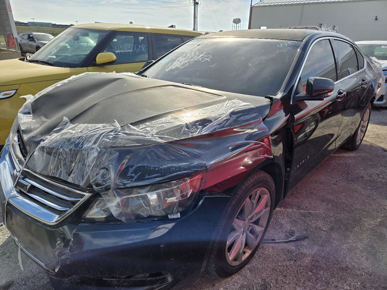 Vehicle/248384_02.jpg