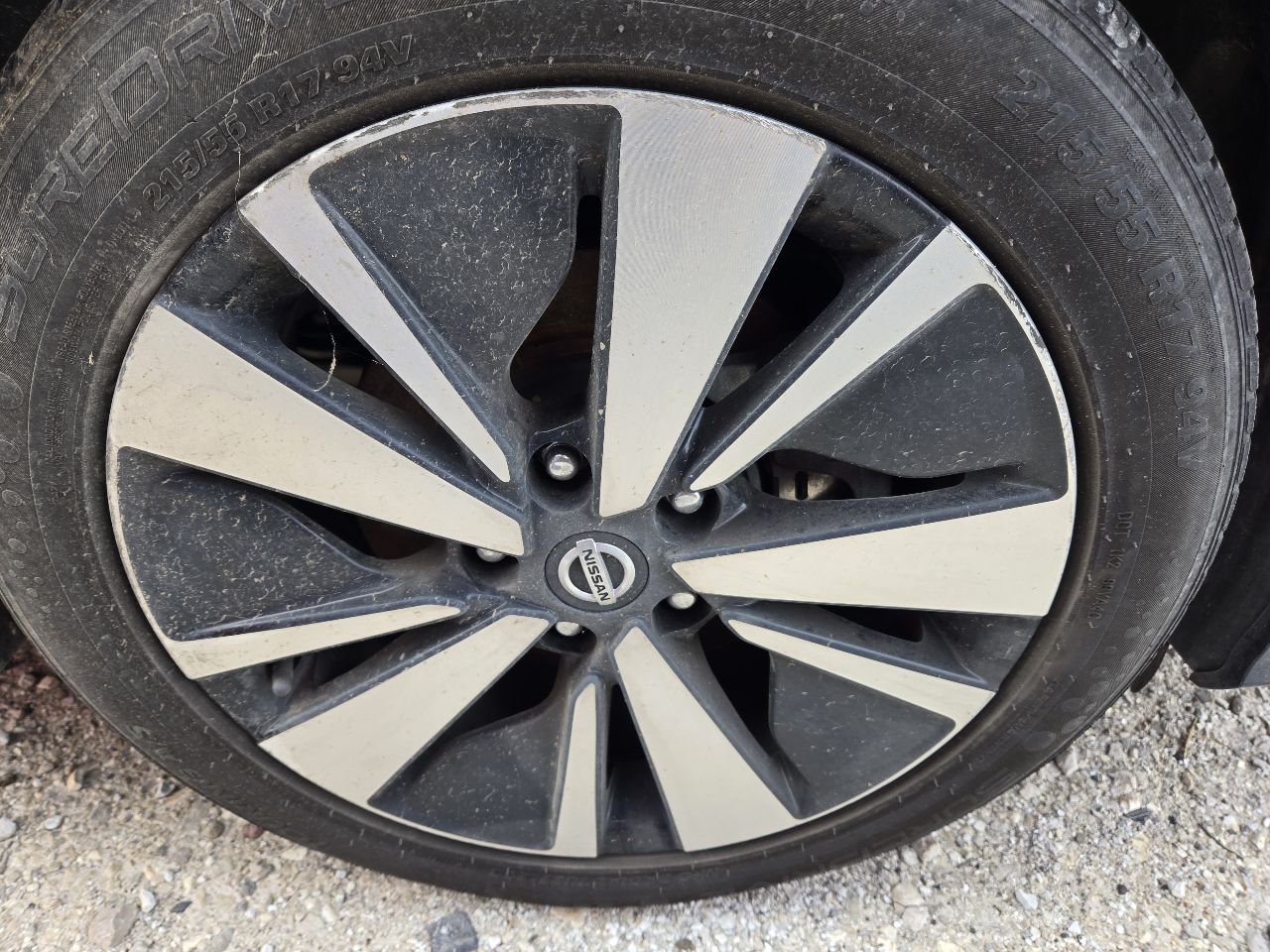Vehicle/248448_07.jpg