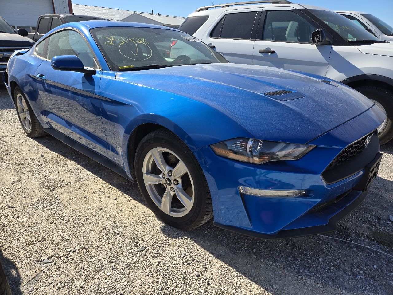 Vehicle/248469_01.jpg