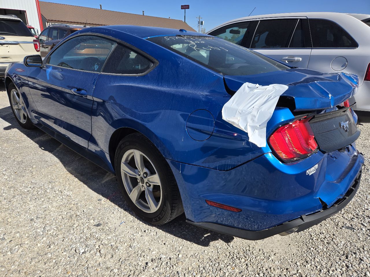 Vehicle/248469_03.jpg