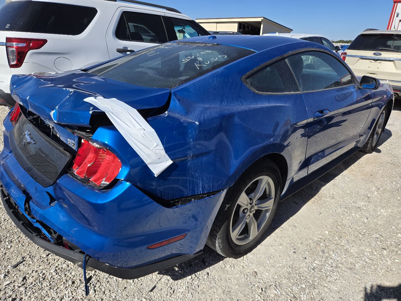 Vehicle/248469_04.jpg