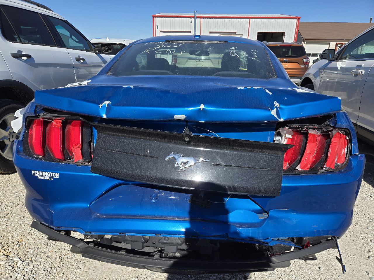 Vehicle/248469_05.jpg