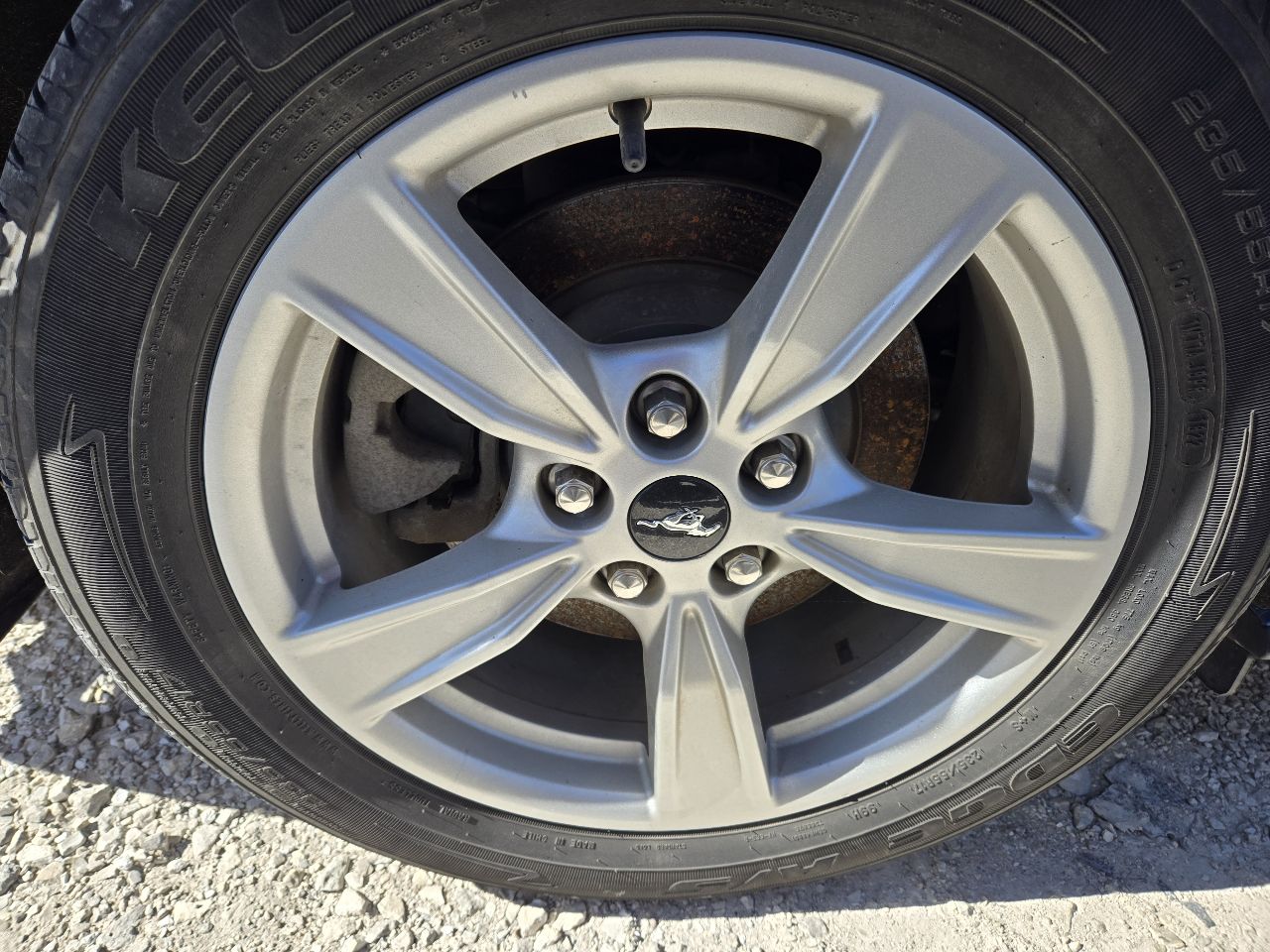 Vehicle/248469_06.jpg