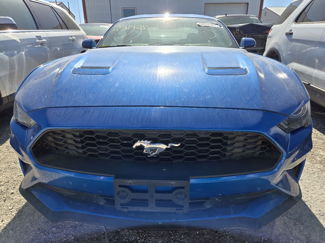 Vehicle/248469_08.jpg