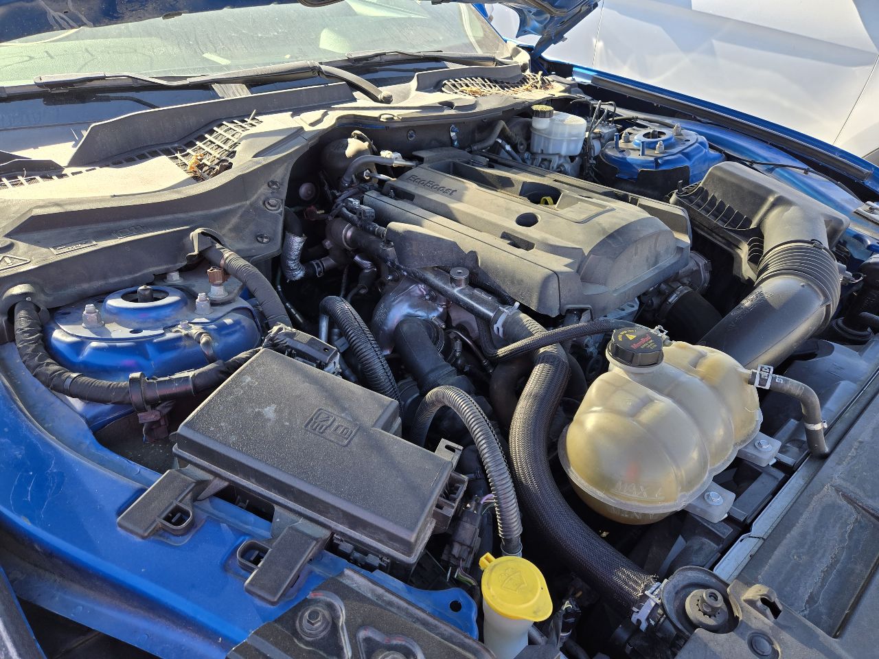Vehicle/248469_18.jpg