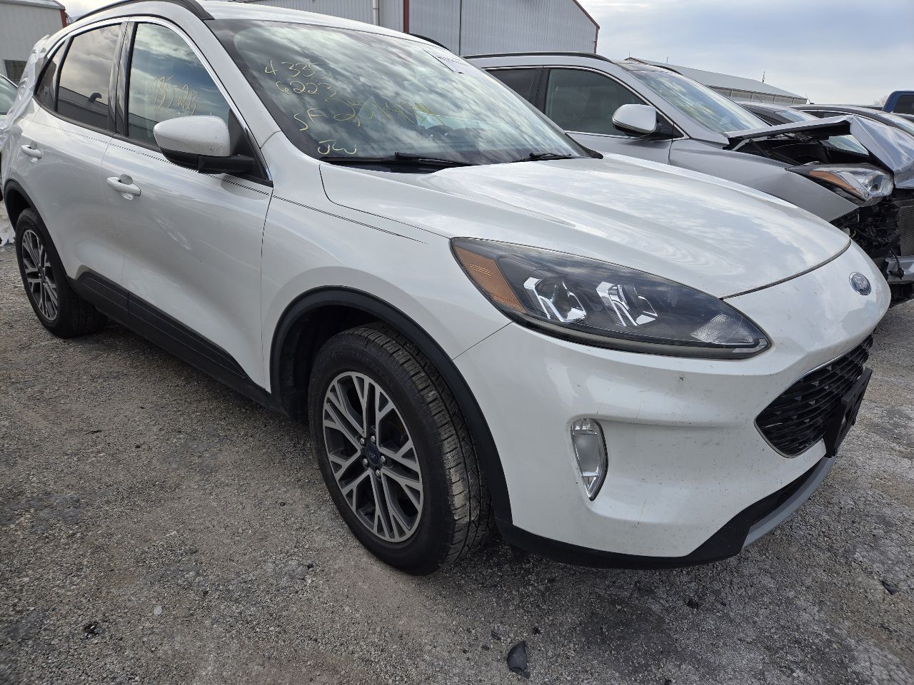 Vehicle/248605_01.jpg