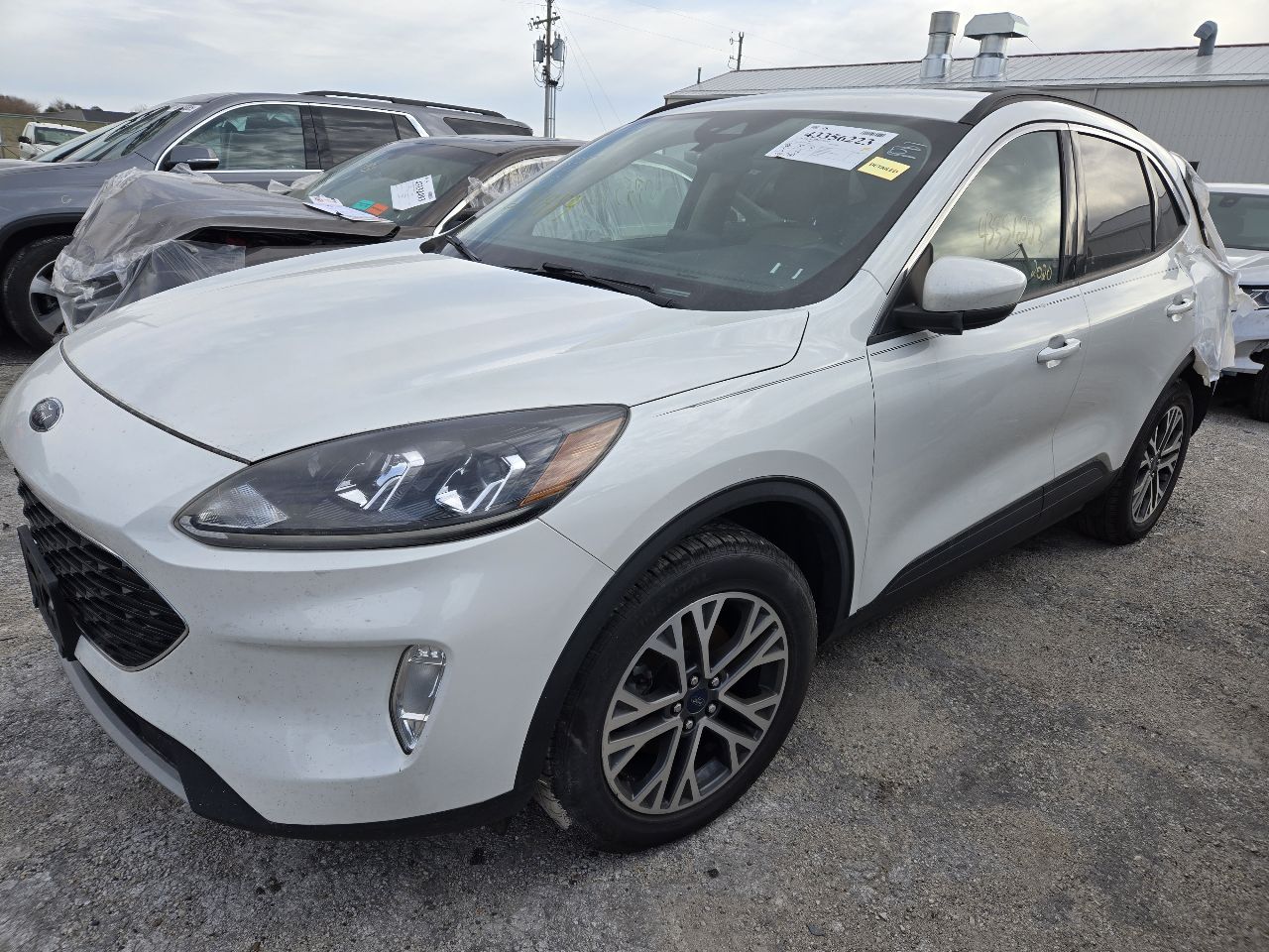 Vehicle/248605_02.jpg