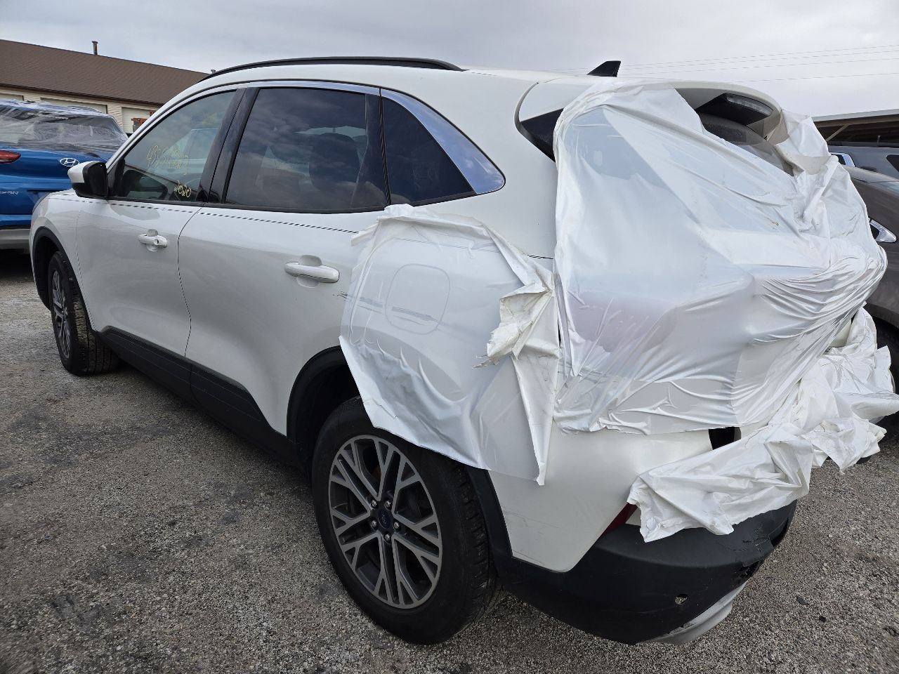 Vehicle/248605_03.jpg