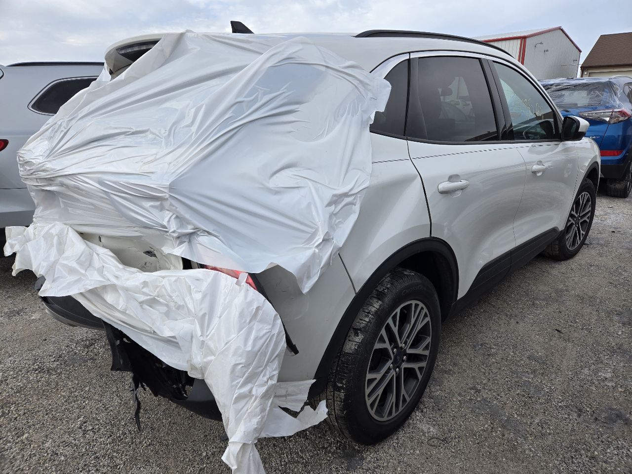 Vehicle/248605_04.jpg
