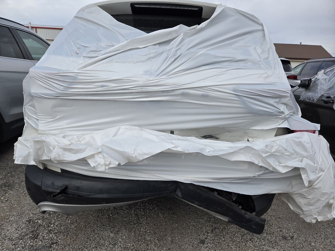 Vehicle/248605_05.jpg