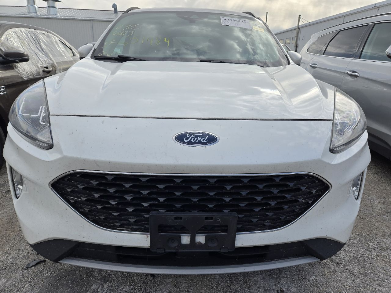 Vehicle/248605_09.jpg