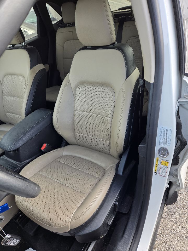 Vehicle/248605_12.jpg