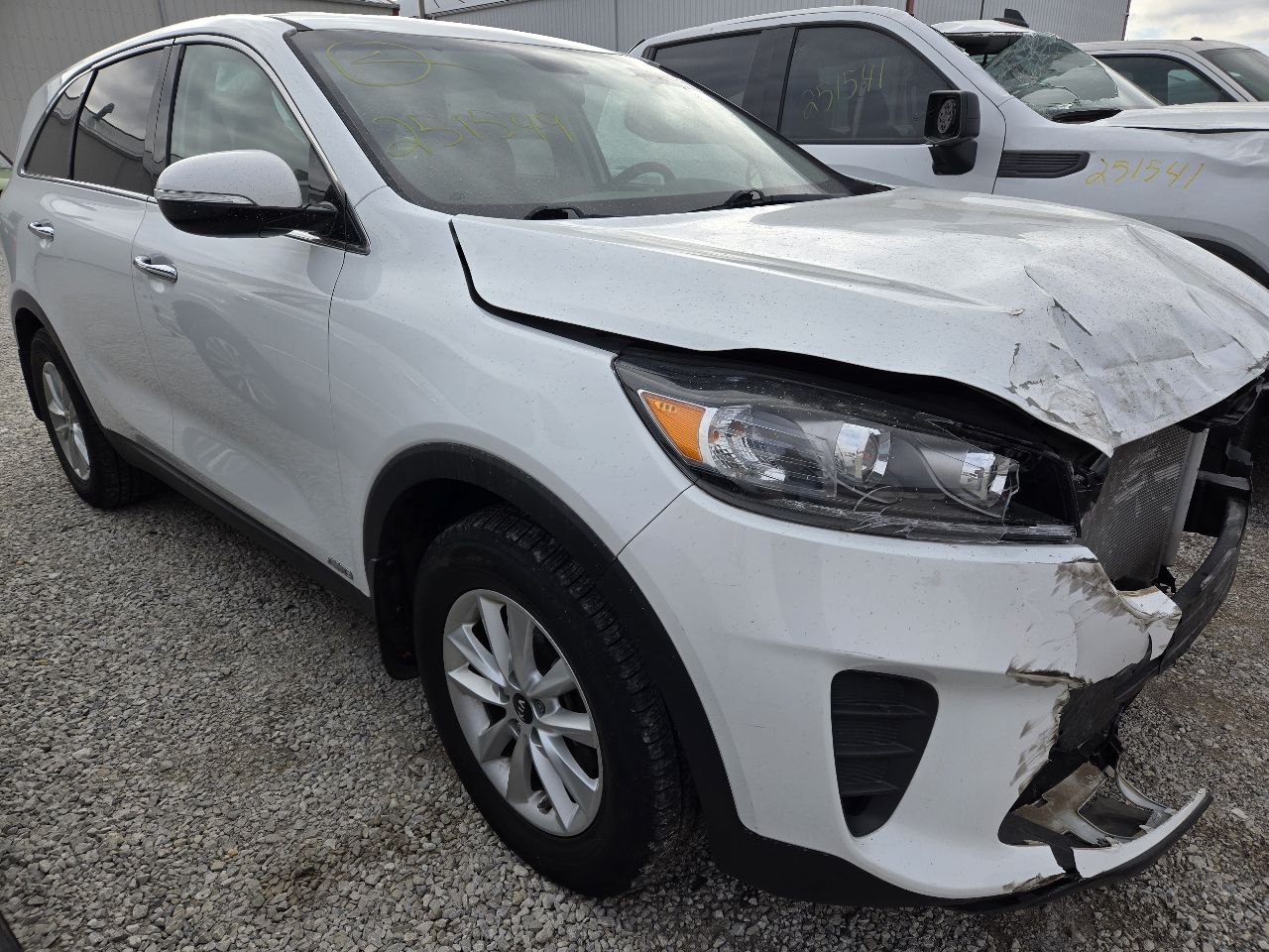 Vehicle/248746_01.jpg