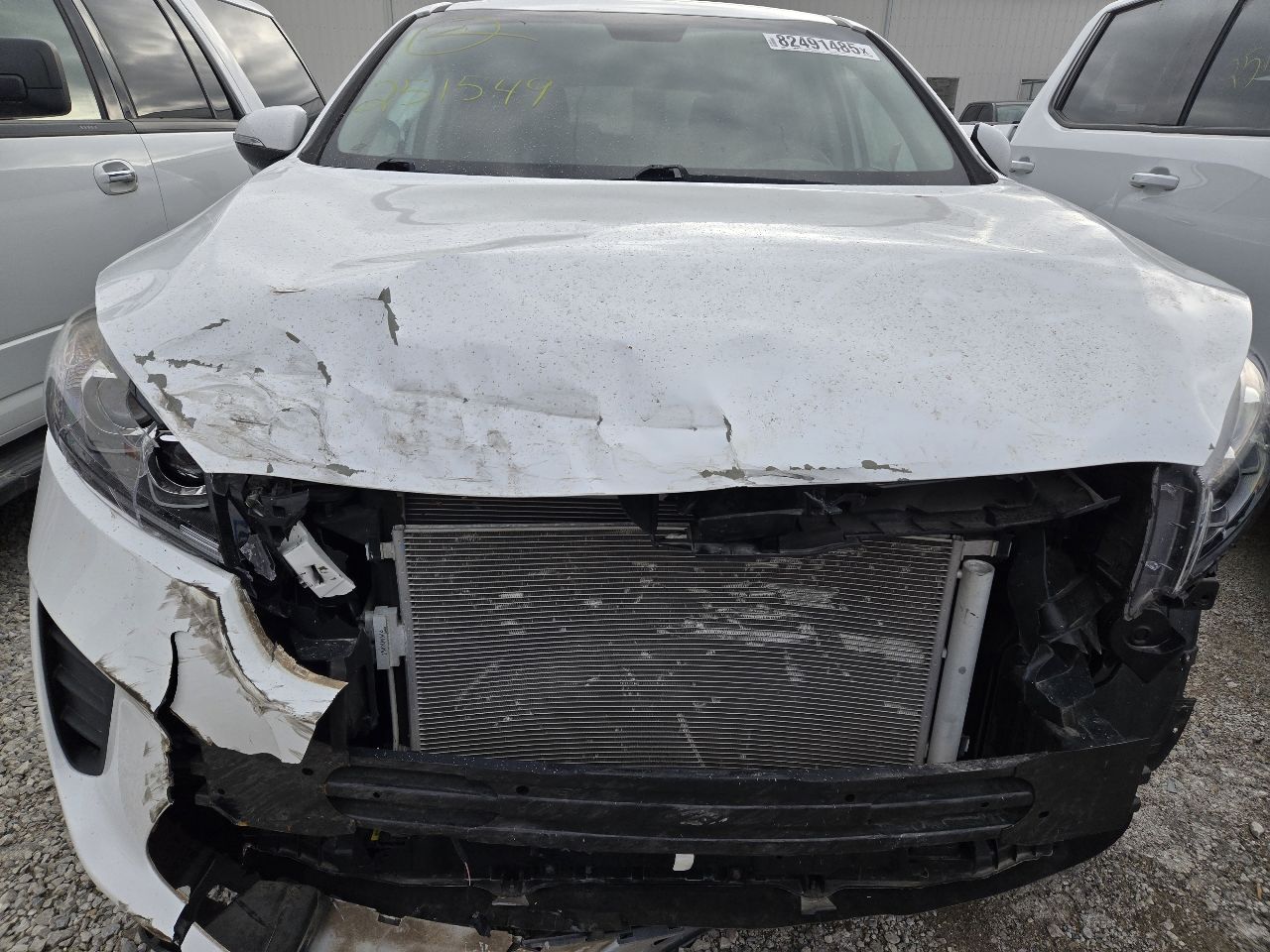 Vehicle/248746_09.jpg