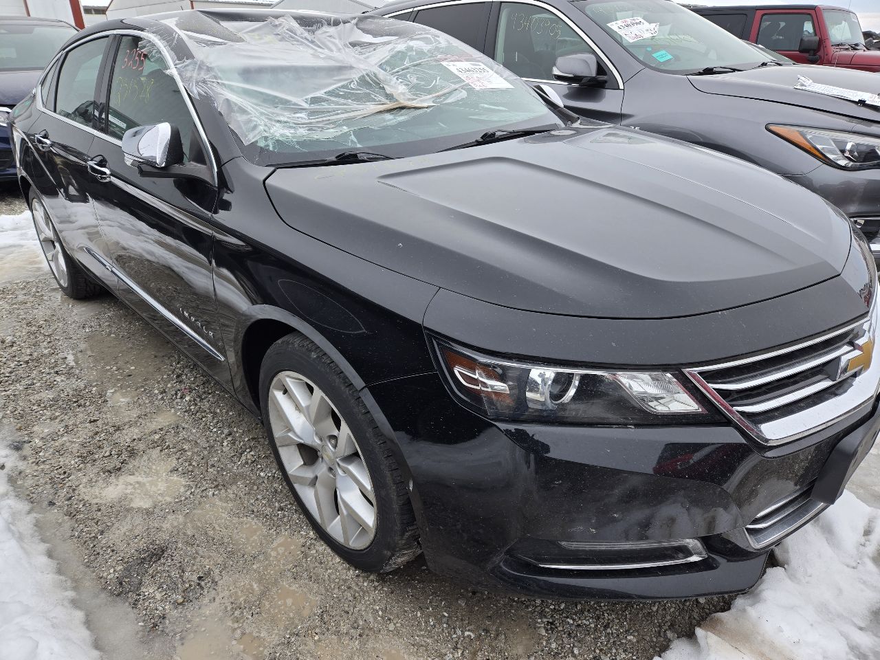 Vehicle/248787_01.jpg