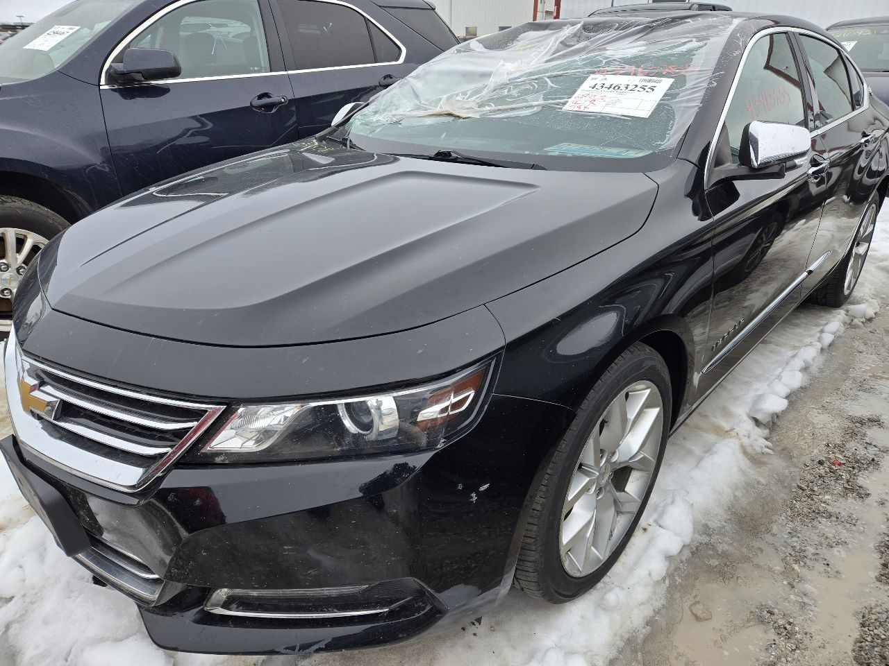 Vehicle/248787_02.jpg