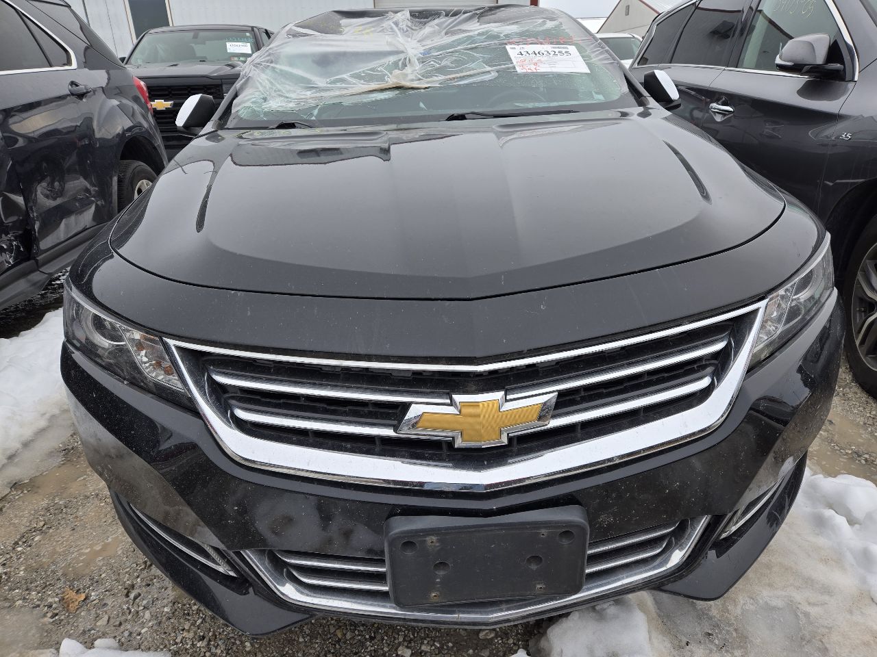Vehicle/248787_09.jpg