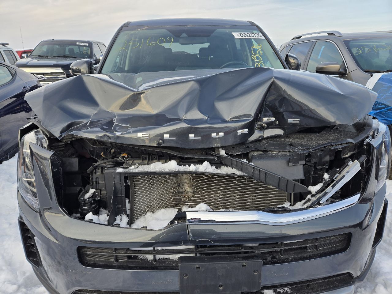 Vehicle/248845_08.jpg