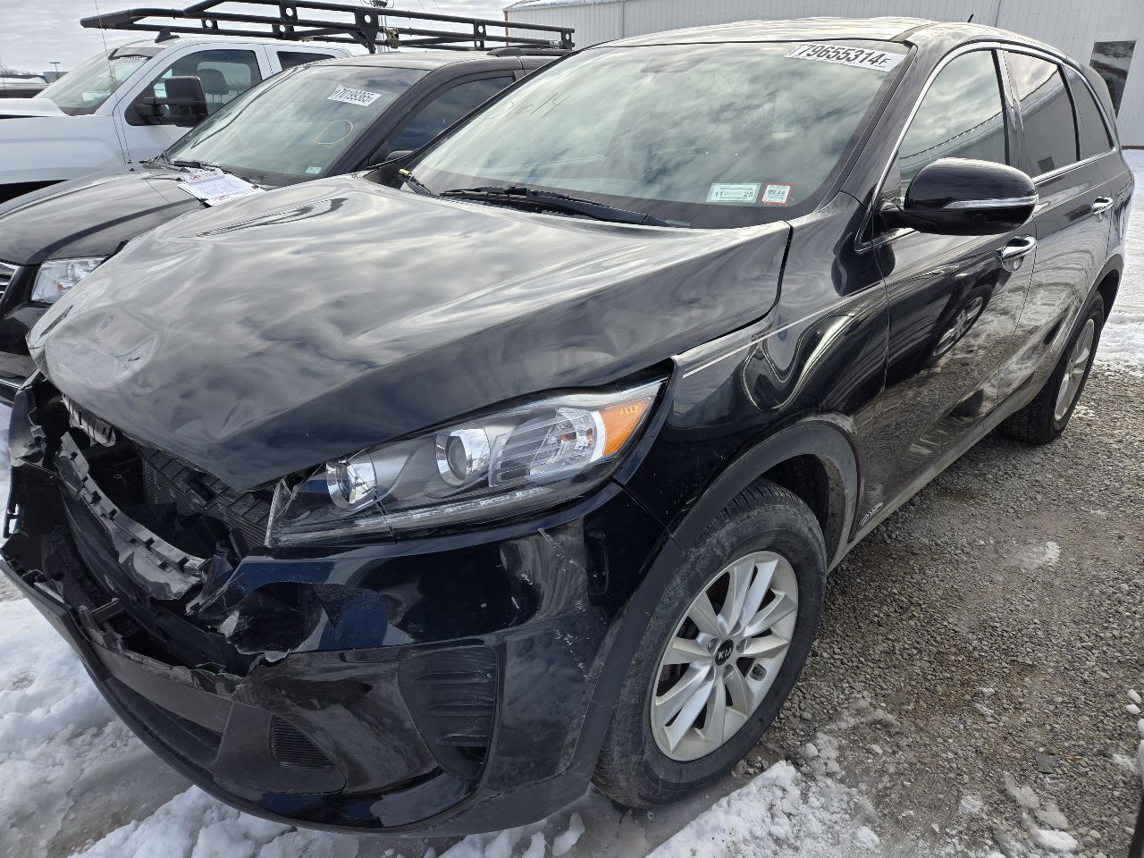 Vehicle/248851_02.jpg