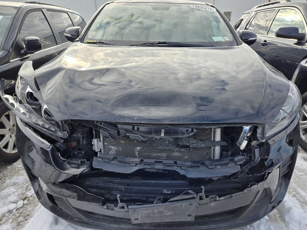 Vehicle/248851_09.jpg