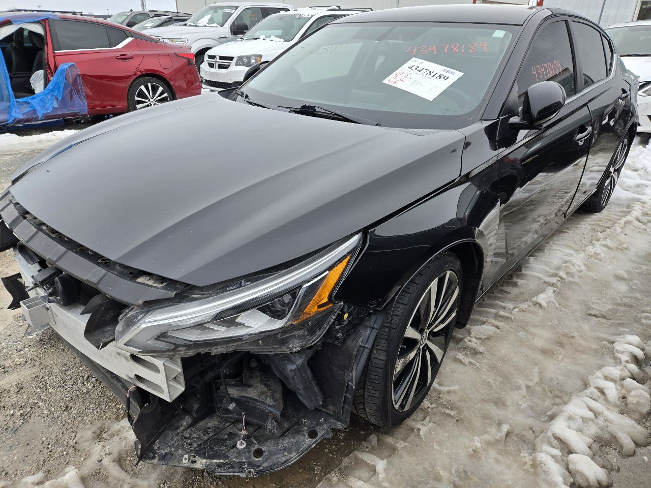 Vehicle/248871_02.jpg
